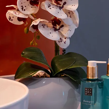 Mercure מלון טימישוארה