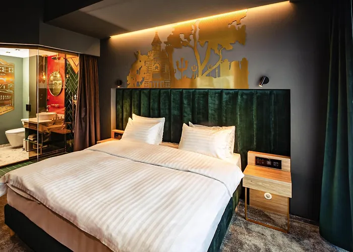 Mercure 蒂米什瓦拉