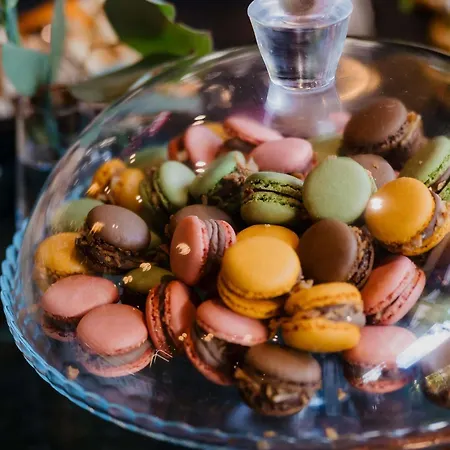 Mercure 4* Temešvár