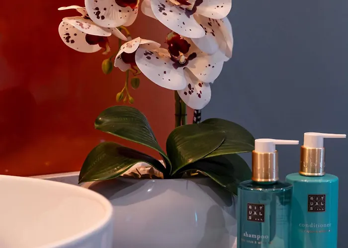 Mercure Hotel Temešvár